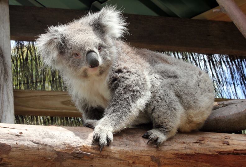 9C028E94-329F-48C4-932A-61A9968CD2E6